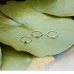 Anel LECARRÉ Diamantes Ouro 18k GA102OR.BR