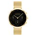 Relógio CALVIN KLEIN Iconic 25200287