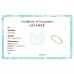 Anel LECARRÉ Diamantes Ouro 18k GA003OA.13